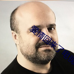 爱情回来了电视剧 （青出于蓝）