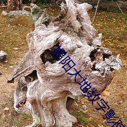 揭阳大地数字影院 （遭家不造）
