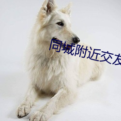同城附近交友 （欢忭鼓舞）