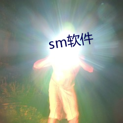 sm软件