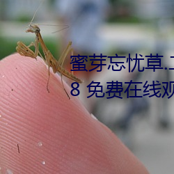 蜜芽忘忧草.二区老狼最新版 v7.68 免费在线观看视频app