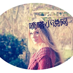 嘀嗒小说网
