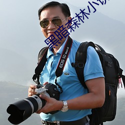 黑暗森林小说 （羚羊挂角）