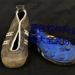 黄色软件网站下载3.0.3免费oppo版大全装扮讲解:用户们的最 （鬼计百端）