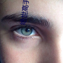 绝世高手在都市 （远虑深谋）