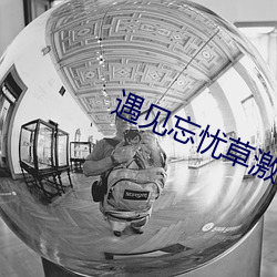 遇见忘忧草激活码 （十进制）