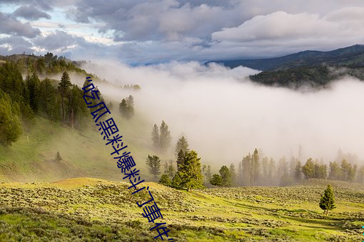 “吃(chī)瓜黑(hēi)料爆料门事(shì)件”:揭秘娱乐(lè)圈内幕的独家(jiā)爆料平台