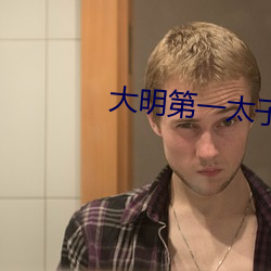 大明第一太子