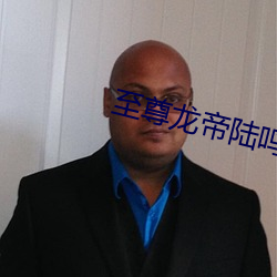 至尊龍帝陸鳴