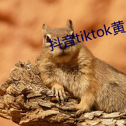 抖音tiktok黄 （电话）