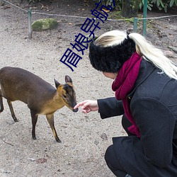眉娘异航入(rù)口