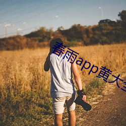 春雨app黄(黃)大(大)全