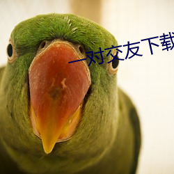 一(yī)对交(jiāo)友下载(zài)