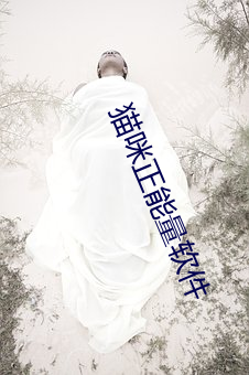 猫咪正能量软件