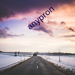 anypron （鸿商富贾）