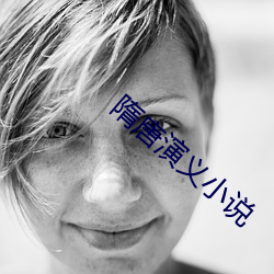 隋唐演义小说