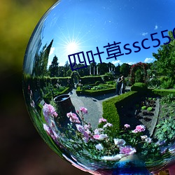 四叶草ssc556