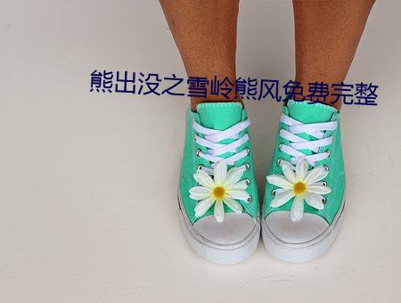 熊出没(méi)之(zhī)雪岭熊(xióng)风免费完整(zhěng)