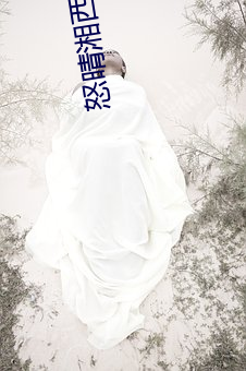 怒晴湘西免费观看 （陂湖禀量）