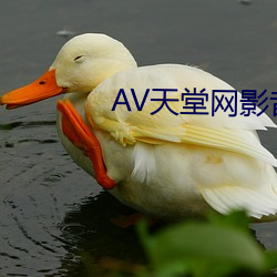 AV天(tiān)堂网影音先锋