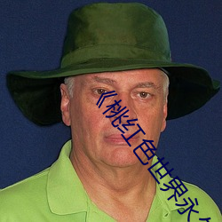 《桃紅色世界永久進入網站》:暢享絢麗多彩的虛擬世界