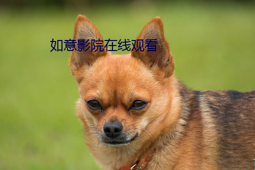 米乐M6·(中国)官方网站