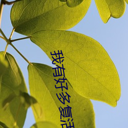 我有好多复活币