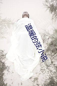 温暖的弦(xián)小说