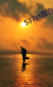 537ct百合直播