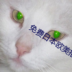 免费日本欧美推理片电影在