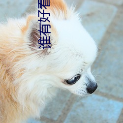 谁(誰)有好(好)看的直播app