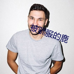被驯服的鹿