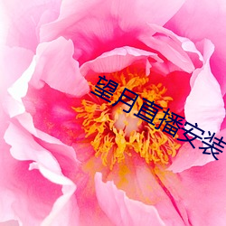 望月直播安裝