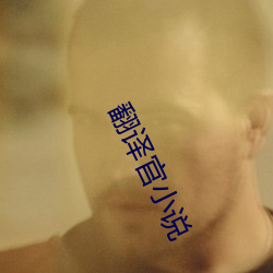 翻译官小说