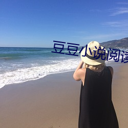 豆豆小说阅读网