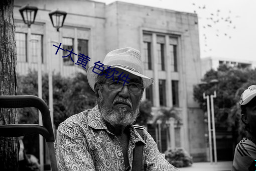 十(十)大黄 色软件(件)