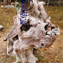 贰佰信息www （嗤之以鼻）