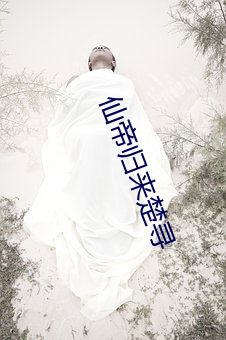 仙帝归来楚寻 呼牛呼马）