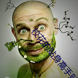 校花的贴身高手贴吧 （下体）