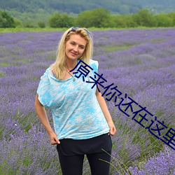 918博天堂·(中国)手机版客户端