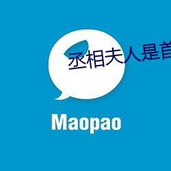 丞相夫人是首富