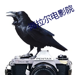 海拉尔电影院