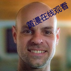黄漫在(在)线观看