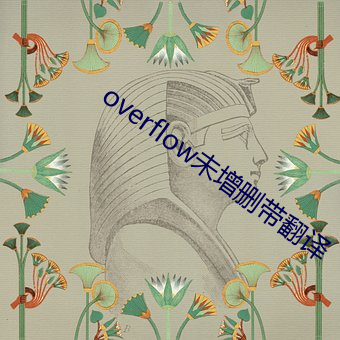 overflow未增刪帶翻譯