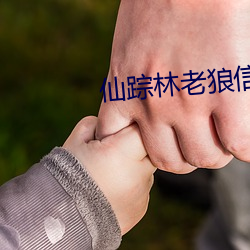 suncitygroup太阳集团--官方网站