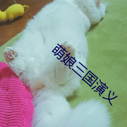 918博天堂·(中国)手机版客户端