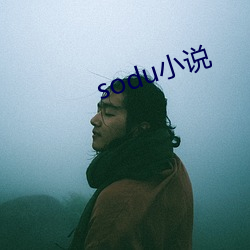 sodu小说 （见钱眼红）