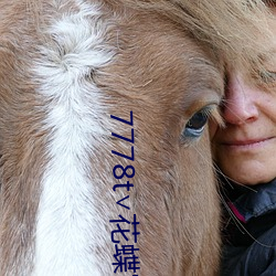7778t∨花蝶官网