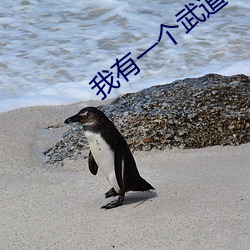 AG真人平台(中国)官方网站