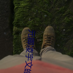 元卿凌宇文皓免费阅读